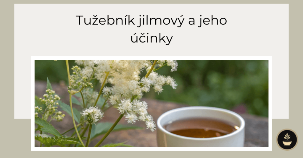 tužebník jilmový a jeho účinky na zdraví, bylinná léčba nachlazení