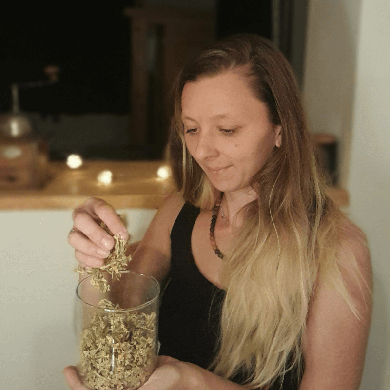 staňte se bylinkářem