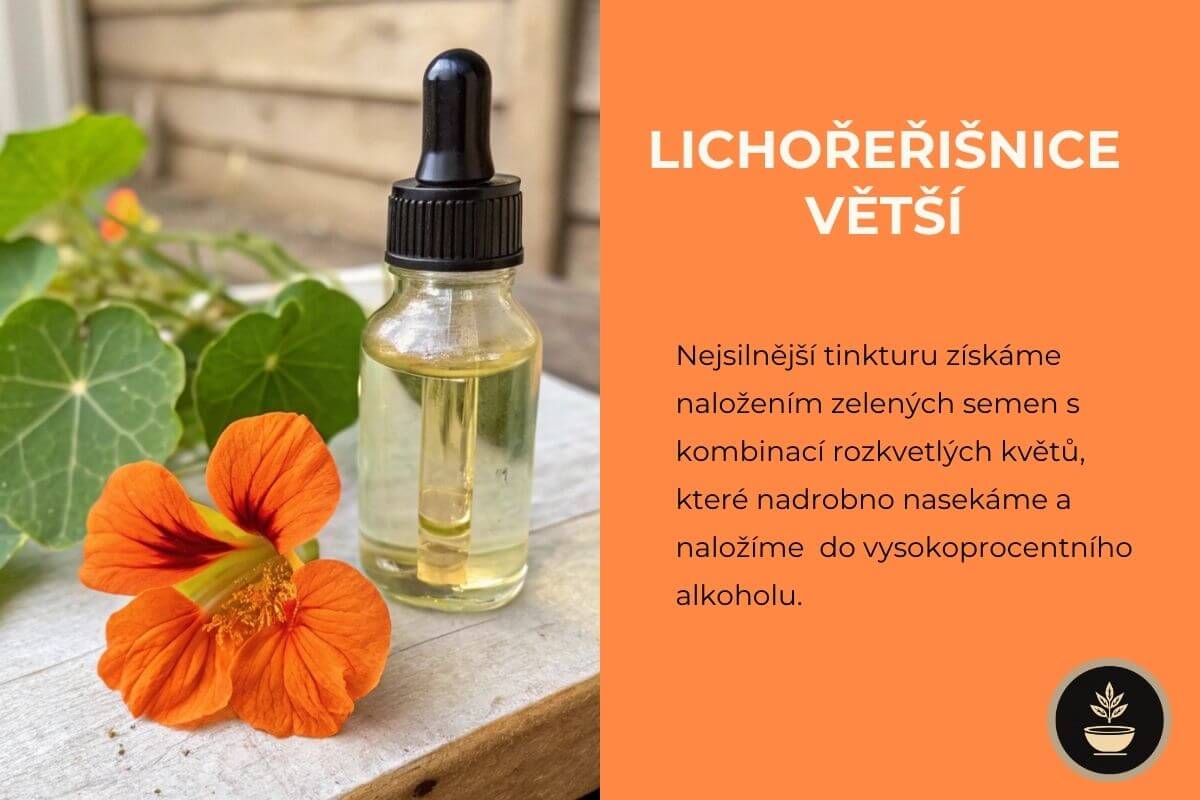 Byliny pro zdraví a přírodní léčba zánětů