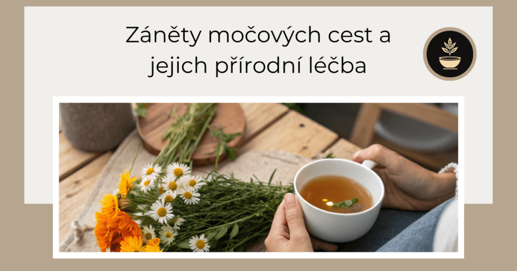 přírodní léčba zánětů močových cest