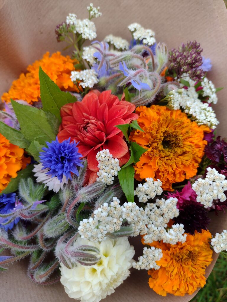 Kytice bylinek do vázy