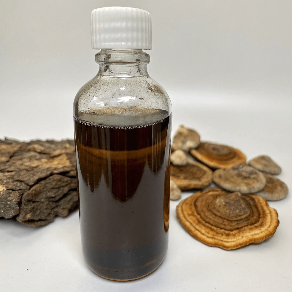 Coriolus -Outkovka pestrá tinktura